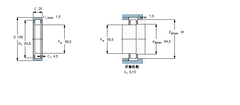 SKF 圆柱滚子RNU309ECP样本图片