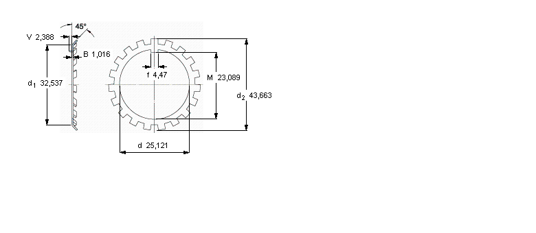 SKF W锁紧垫圈W05样本图片