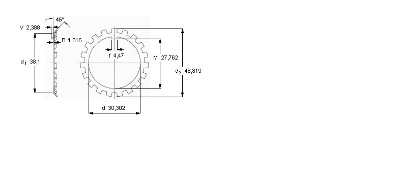 SKF W锁紧垫圈W06样本图片
