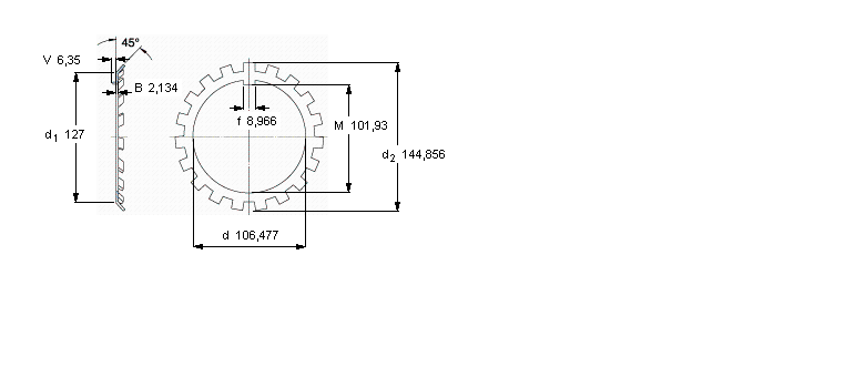SKF W锁紧垫圈W21样本图片
