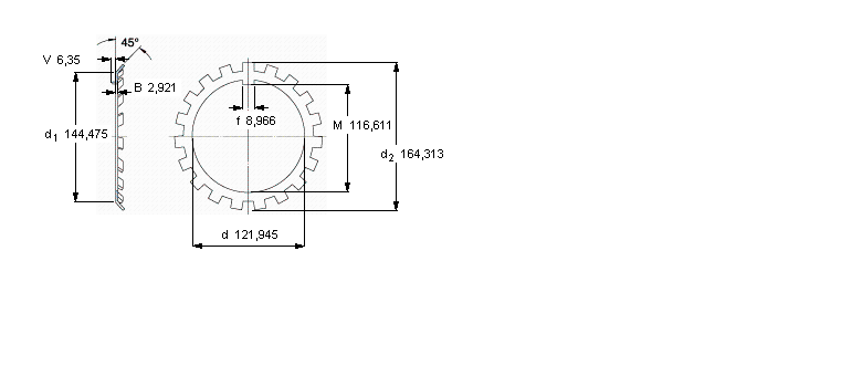 SKF W锁紧垫圈W24样本图片