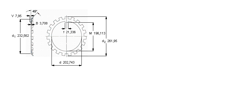 SKF W锁紧垫圈W40样本图片